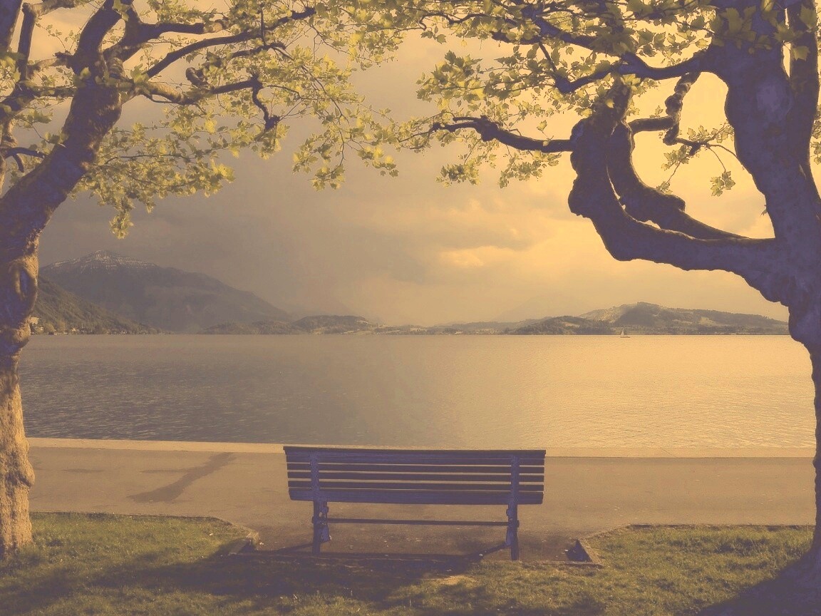 Скамейка на берегу обои