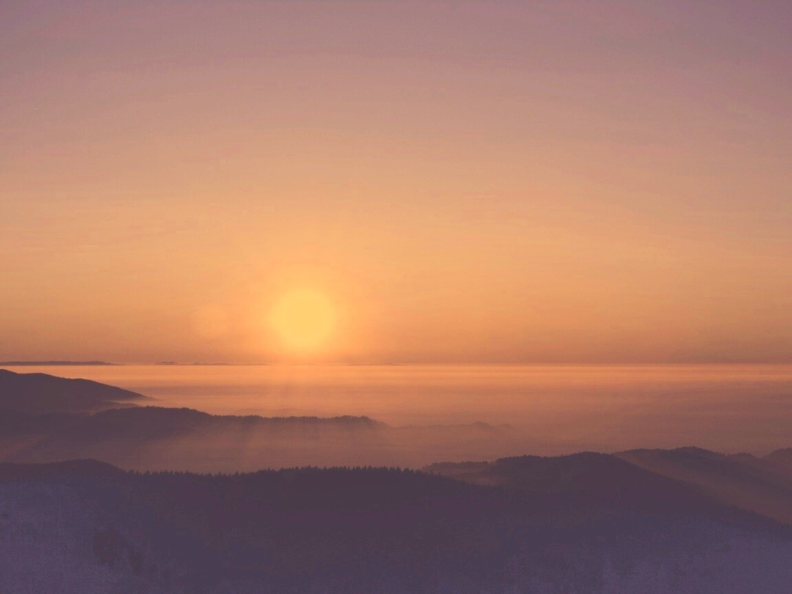 Восход солнца над лесом обои