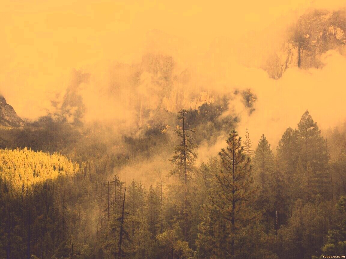 Туман в горах обои