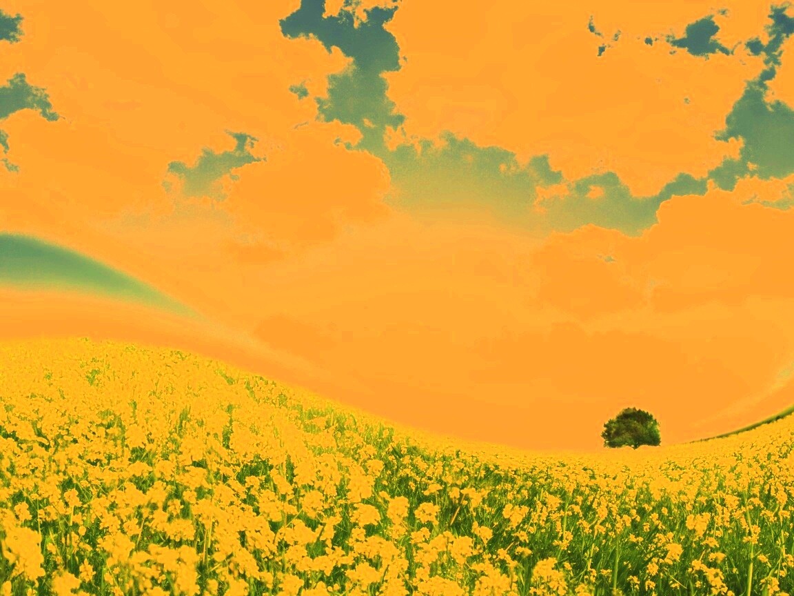 Искаженный мир обои