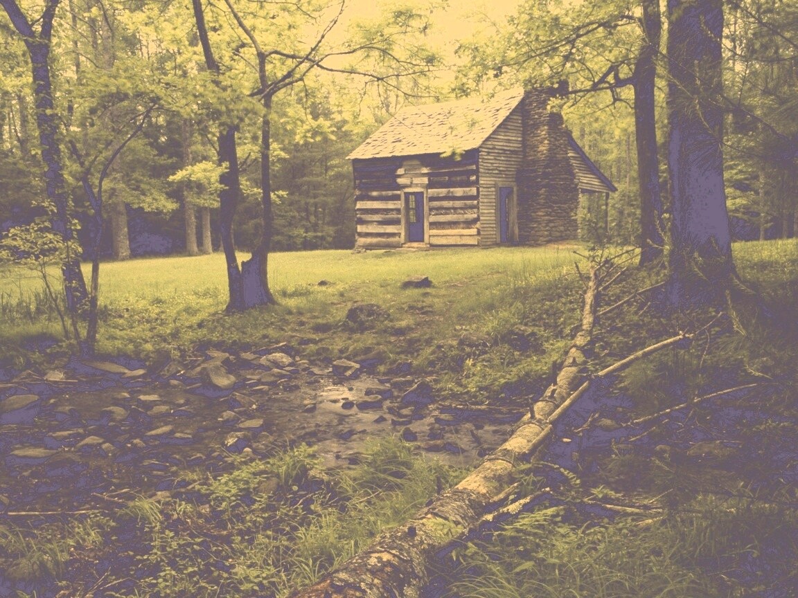 Домик в лесу обои