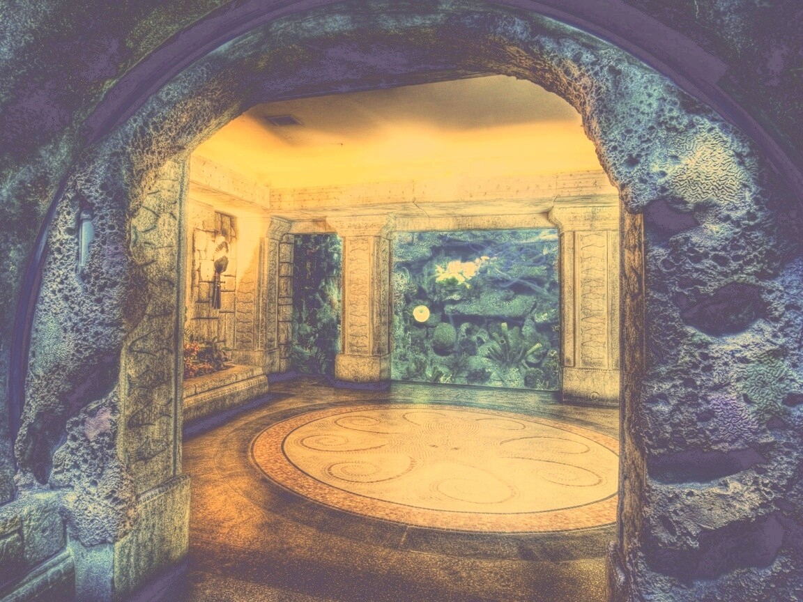 Аквариум обои