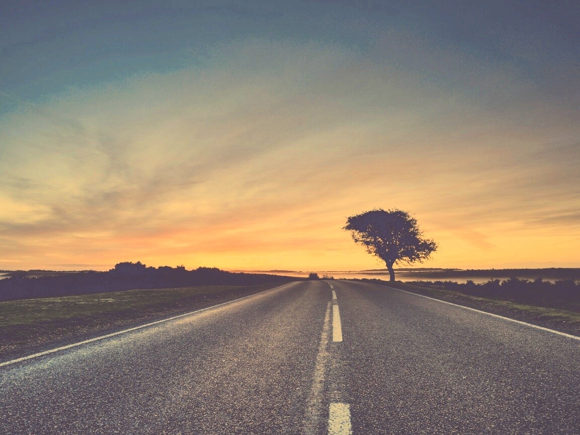 Дорога обои