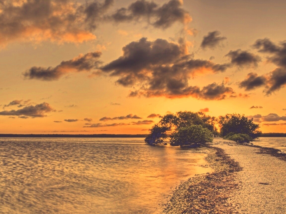 Побережье на закате обои