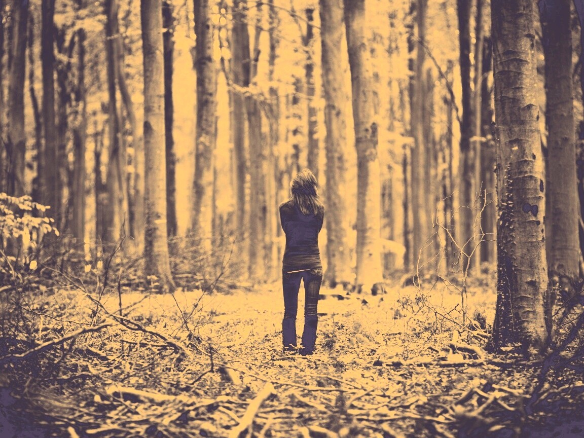 Одна в лесу обои