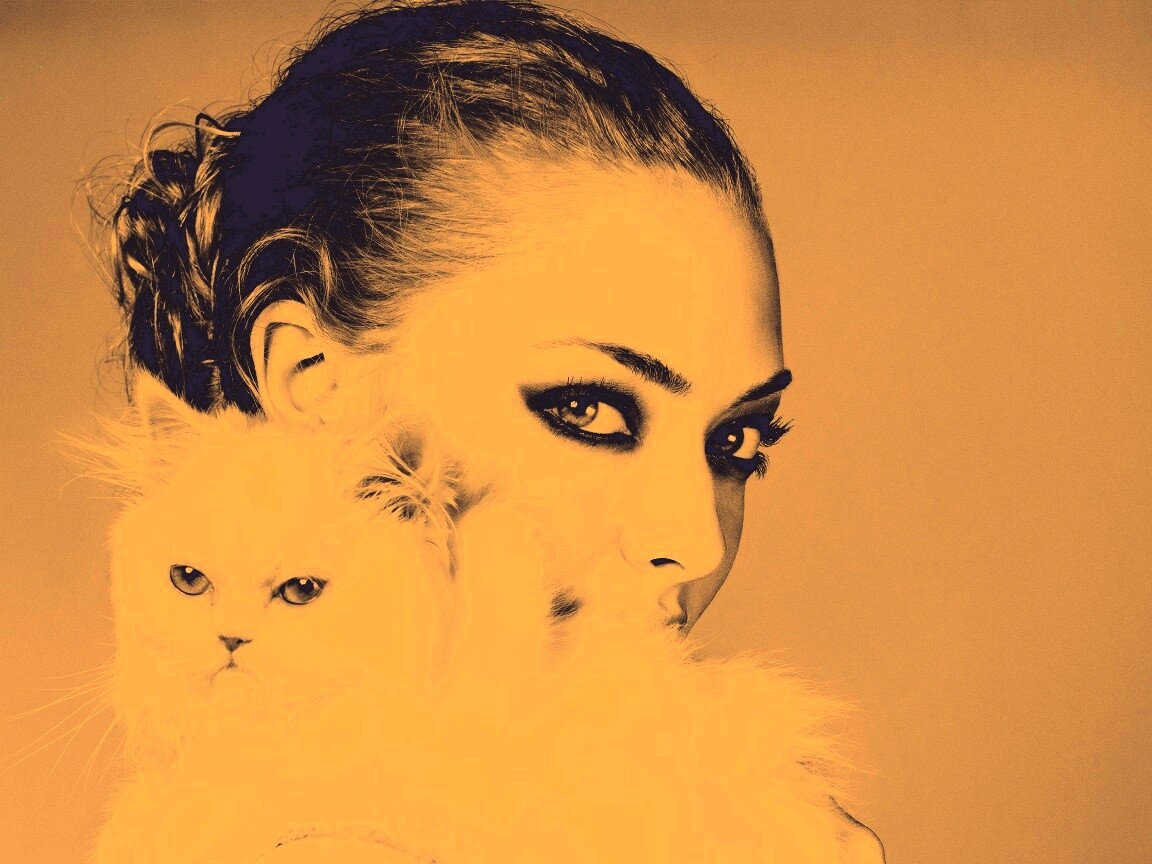 Девушка с кошкой обои