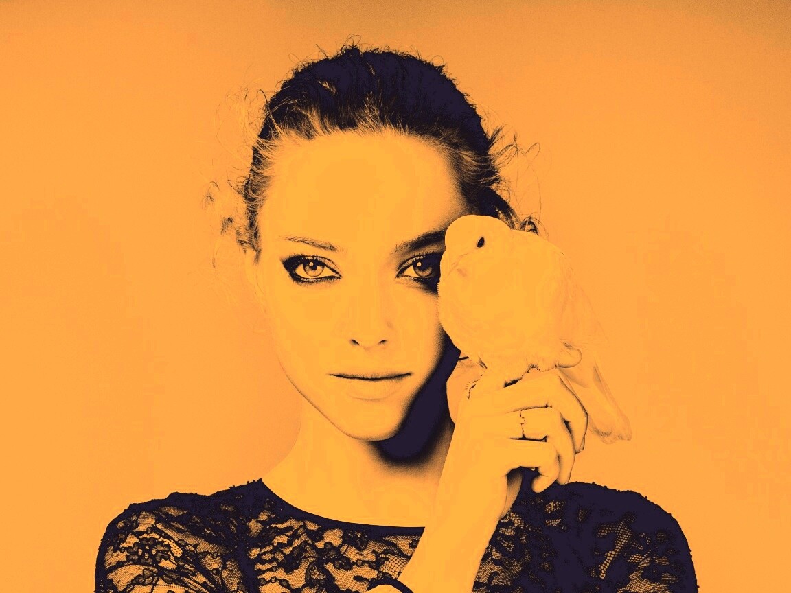 Девушка и попугай обои