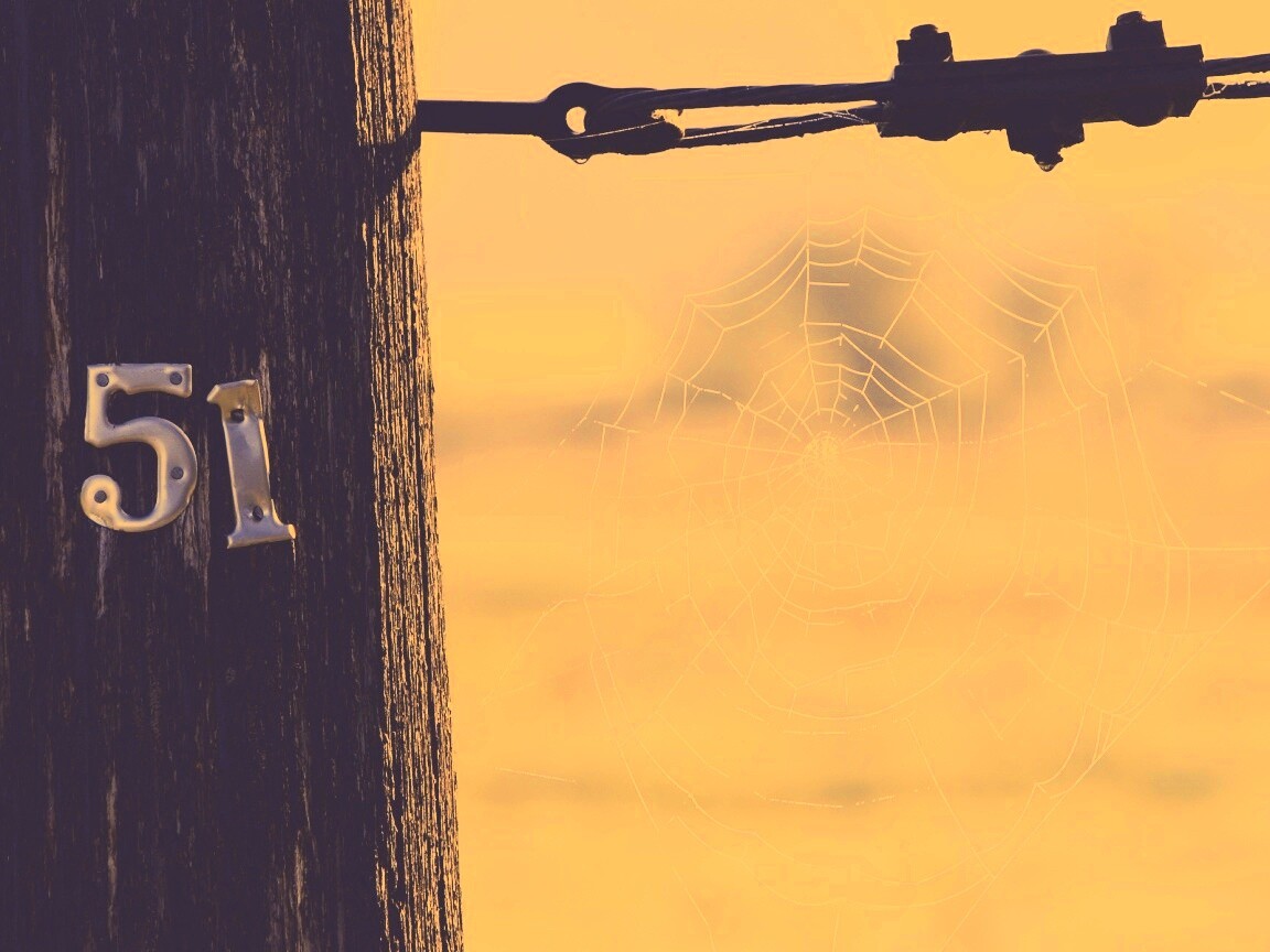 Паутина 51 обои