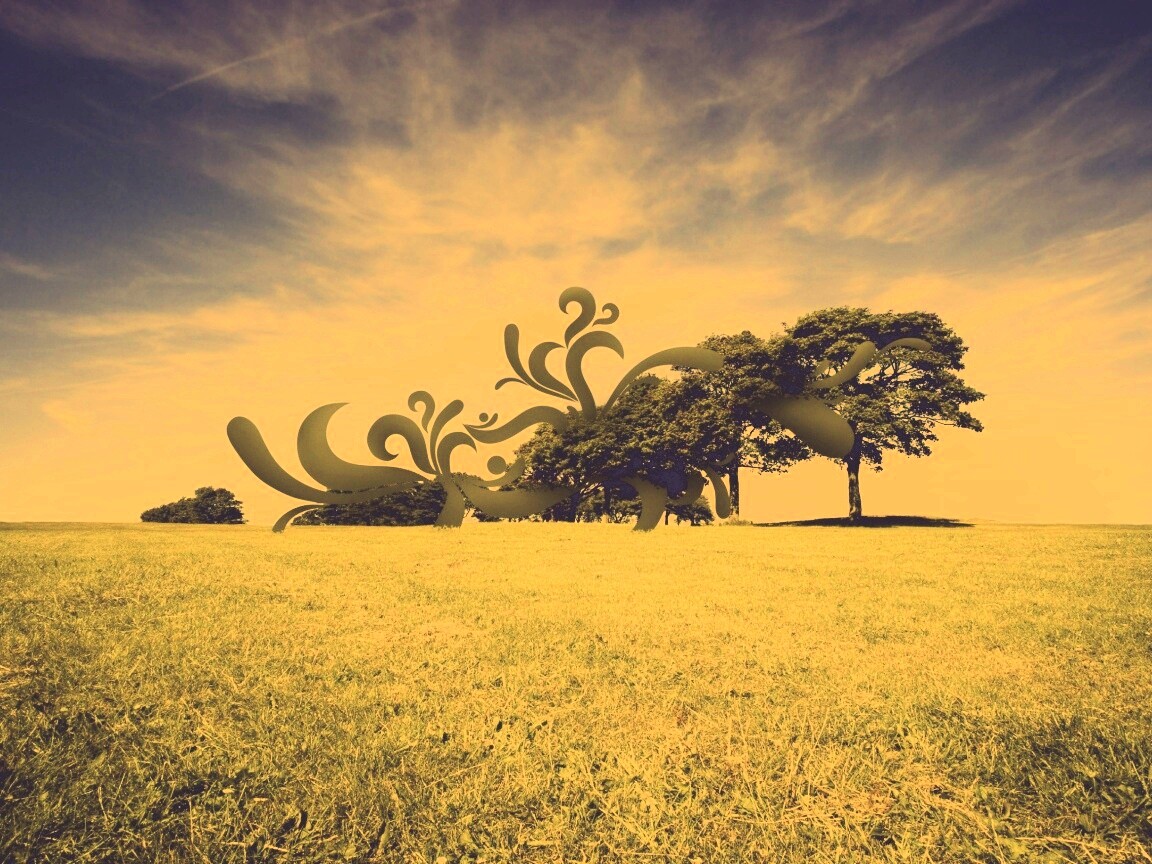 На равнине обои