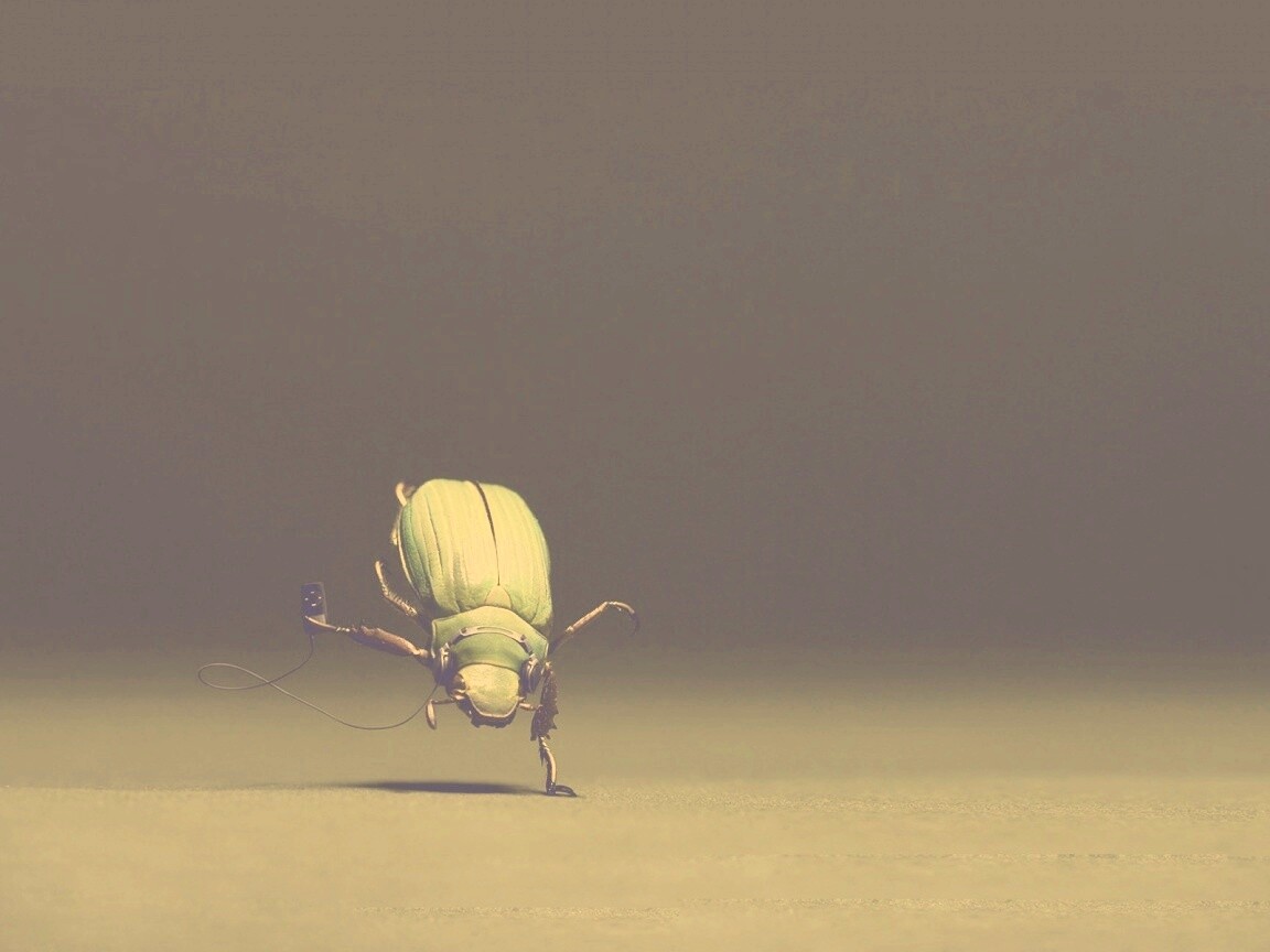 Жук фристайлер обои