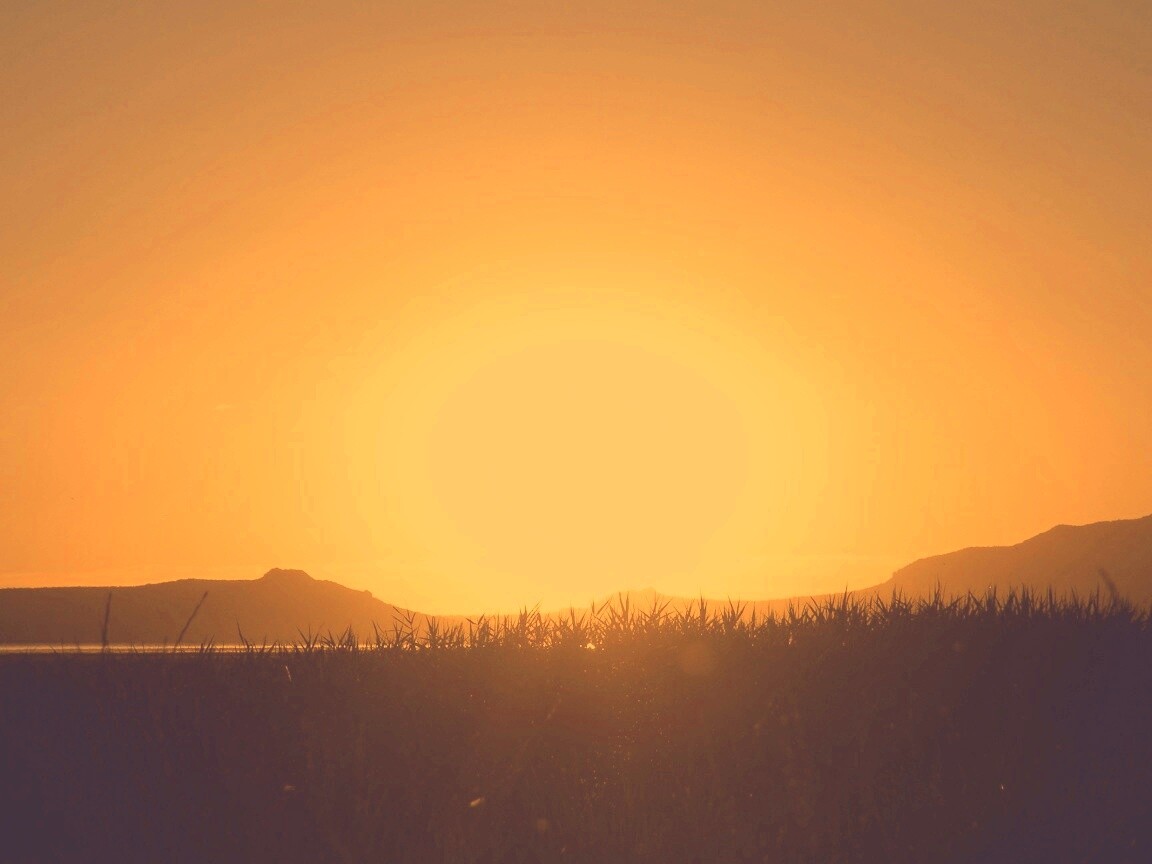 Сельский закат обои