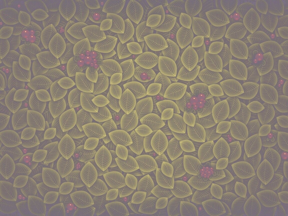 Векторные листья с ягодами обои