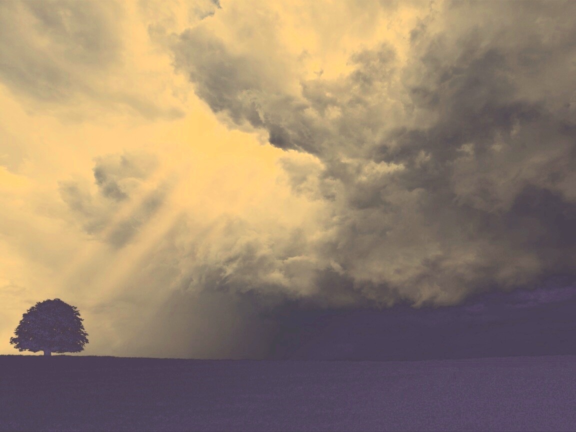 Избранный обои