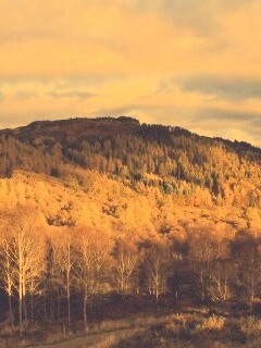 Золотая осень обои