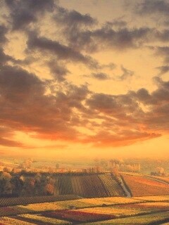 Обработанные земли в пригороде обои