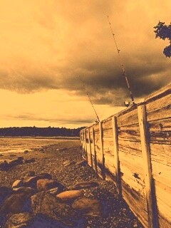 Отлив у деревянной набережной обои