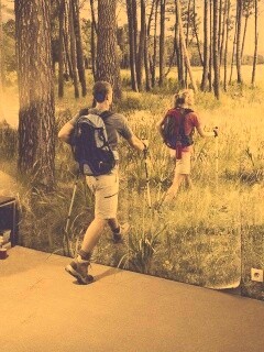 Реклама фотообоев обои