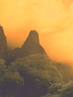 Заросшие джунглями горы обои