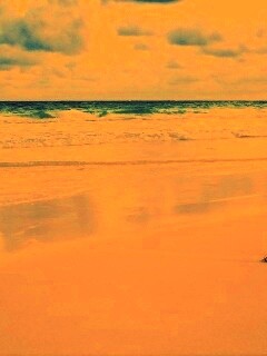 Тропический берег обои