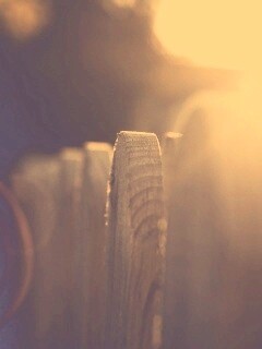 Деревянный забо обои