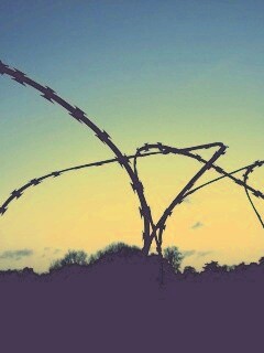 Колючая проволка обои