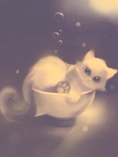 Котёнок в миске обои