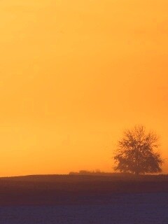 Убранное поле обои