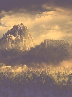 Горы посреди джунглей обои