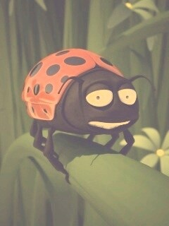 Глазастая божья коровка обои