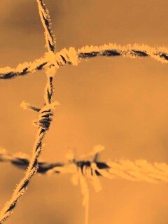 Замерзшая колючая проволока обои