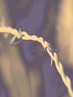 Колючая проволока обои