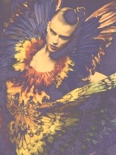 Костюм жар птицы обои