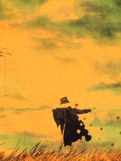 Забытое пугало обои