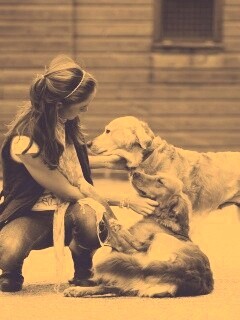 Девушка с собаками обои