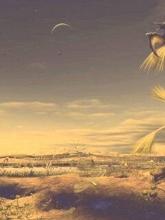 Флора и фауна другой планеты обои