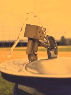 Дандо пьет в воду из фонтанчика обои