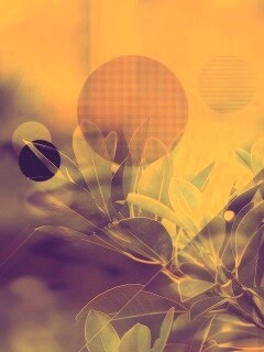 Синий фильтр с кргуами на фото листьев обои