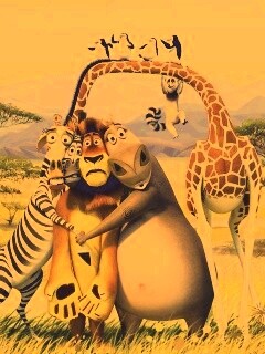 Герои мультфильма Мадагаскар обои