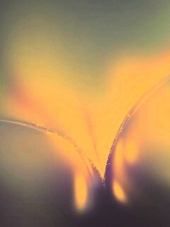 Блестящие шары обои