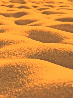 Песчаные бугры обои