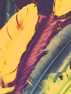 Разноцветные перья обои