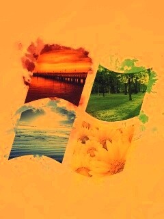 Логотип Winfdows bз фотографий природы обои