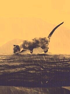 Девушка и кошка обои