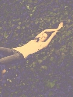 Кристен Стюарт на ковре из листьев обои