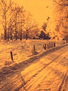 Снежная дорога залитая солнцем обои