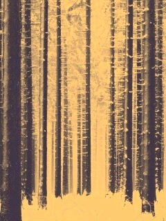 Зимний лес как штрихкод обои