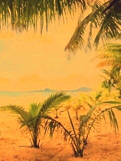 Настоящее лето обои