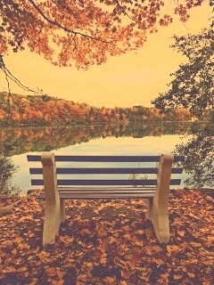 Вид на осеннее озеро обои