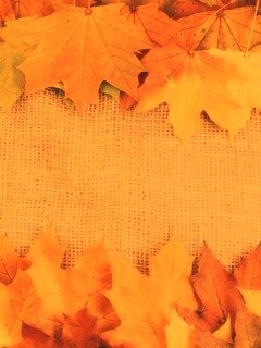 Желтые кленовые листья на холсте обои