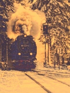 Паровоз в димнем лесу обои